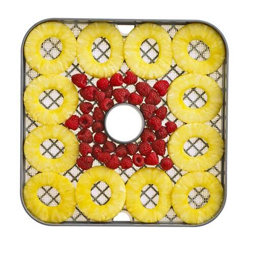 Excalibur ECB52B dehydrator pienapple