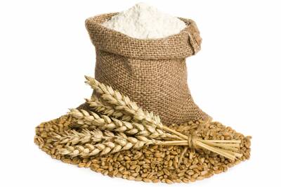 Komo Fidibus XL grain mill flour