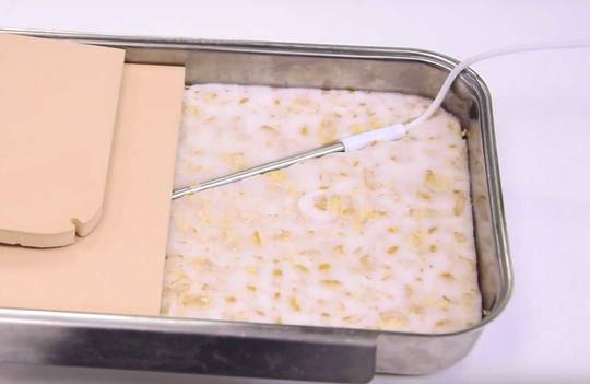 tempeh starter 20g
