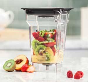 wildside jar blendtec blender