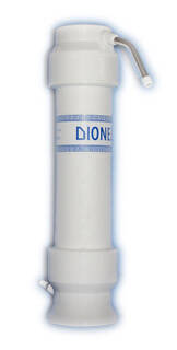 dionela-fam1