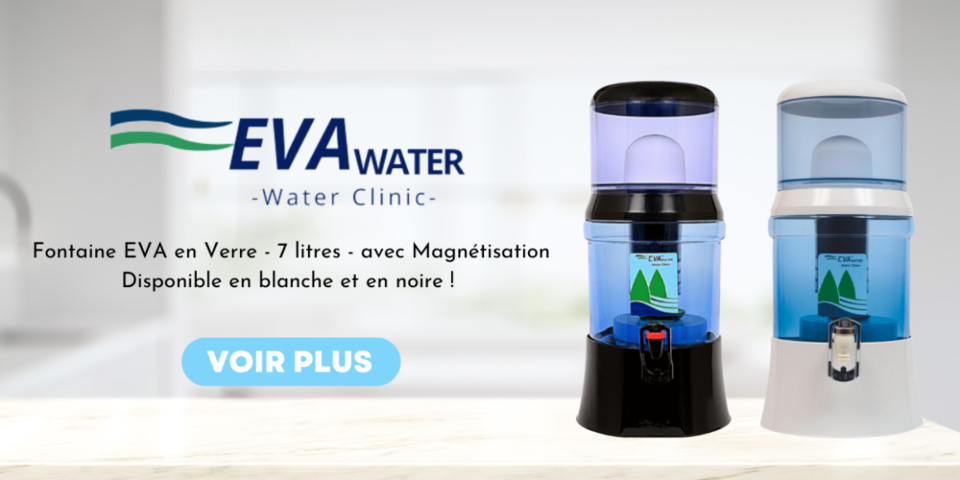 FONTAINE_EVA